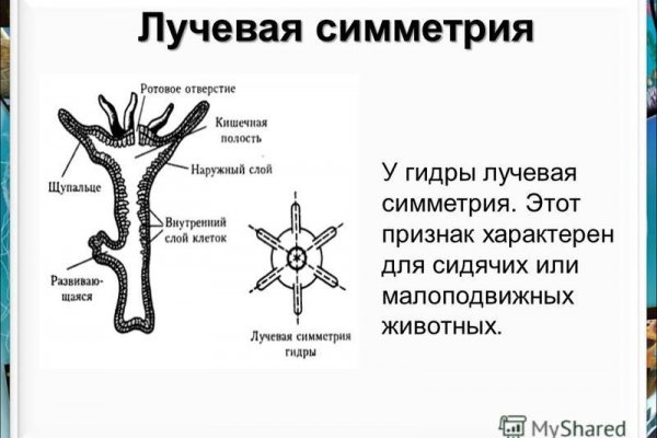 Кракен kr2web in маркетплейс