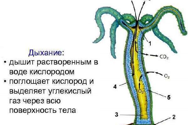 Где взять ссылку на кракен kraken014 com